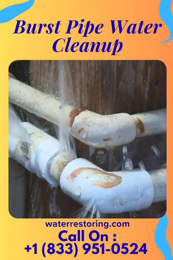 Burst Pipe Water Cleanup in Crab Orchard, TN